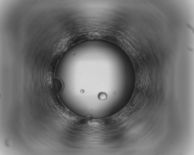 X0000096440706200802071748