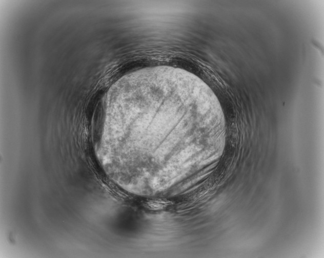 X0000096440707200802071748