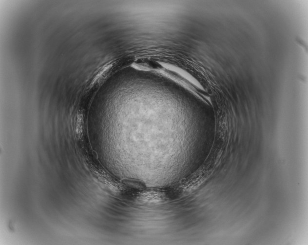 X0000096440708200802071748