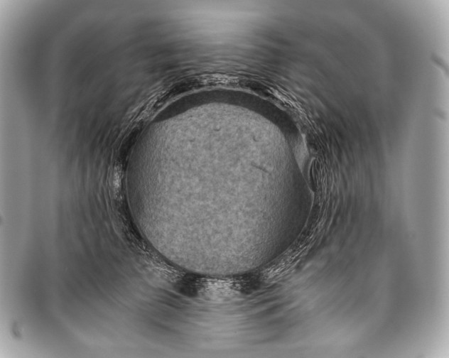 X0000096440709200802071748