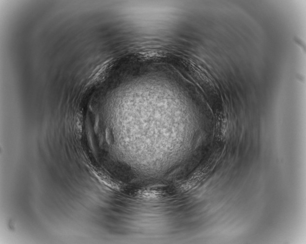 X0000096440710200802071748