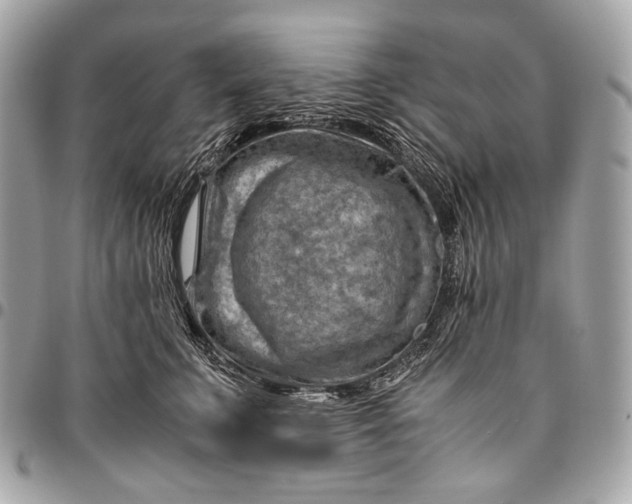 X0000096440711200802071748