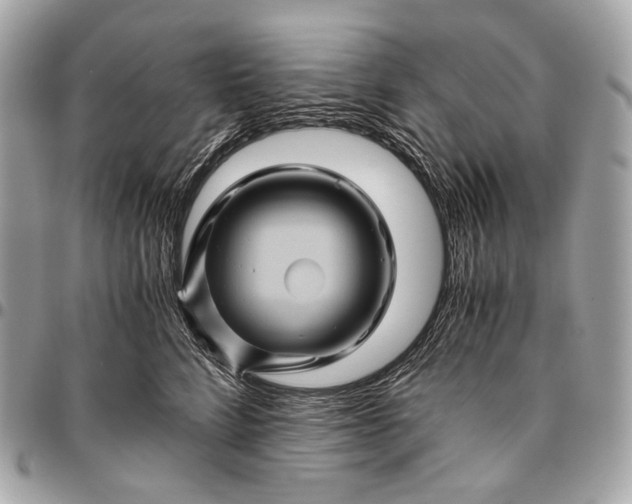 X0000096440712200802071748