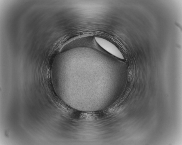 X0000096440713200802071748