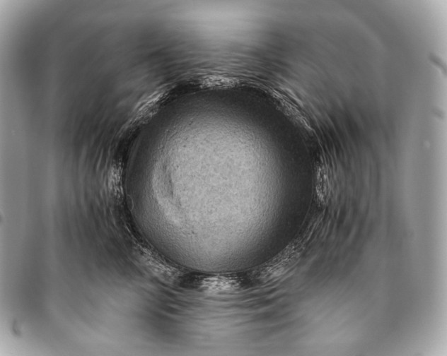 X0000096440714200802071748