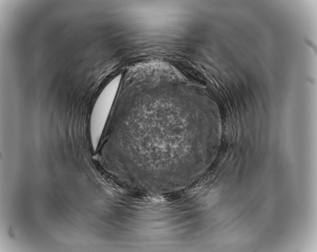 X0000096440715200802071748