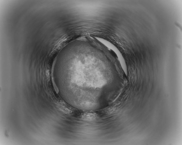 X0000096440716200802071748