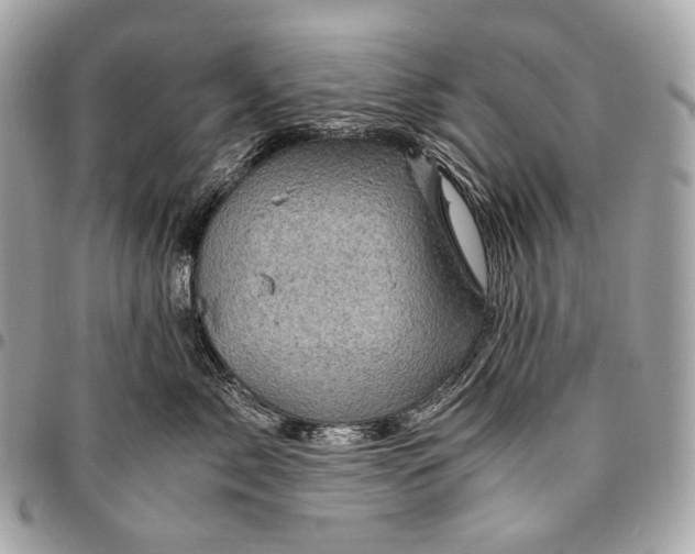 X0000096440717200802071748