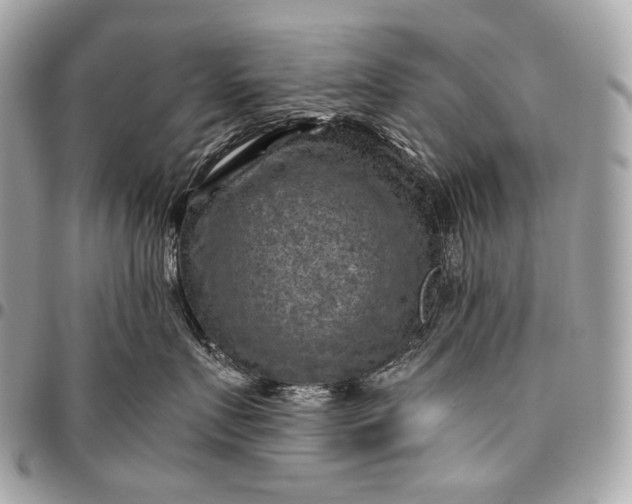 X0000096440719200802071748