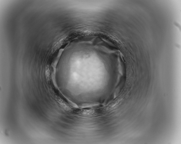 X0000096440720200802071748