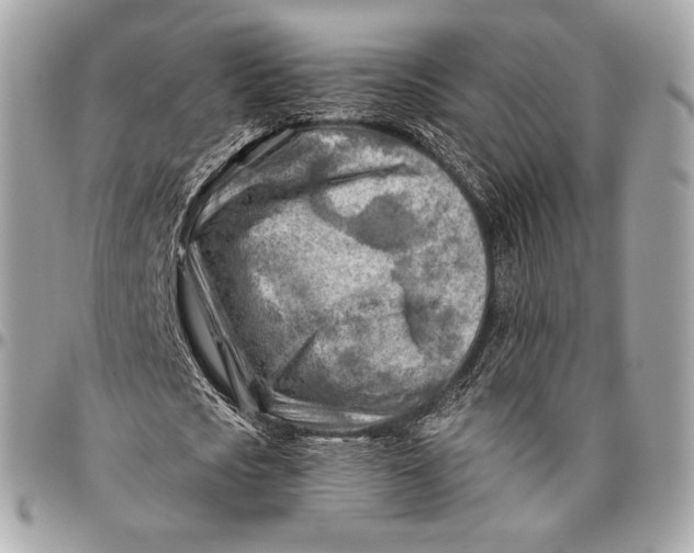 X0000096440721200802071747