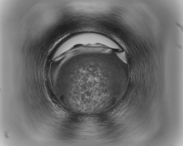 X0000096440722200802071747