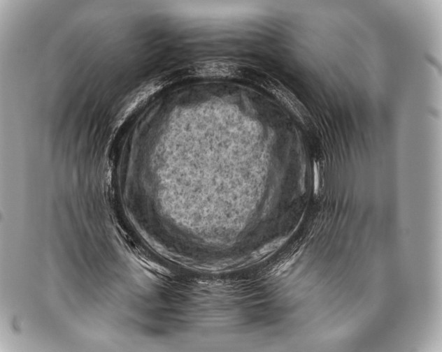 X0000096440723200802071747