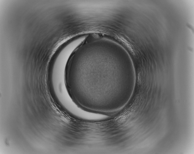 X0000096440724200802071747