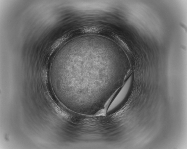 X0000096440725200802071747