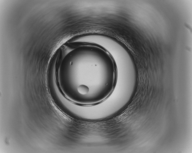 X0000096440726200802071747