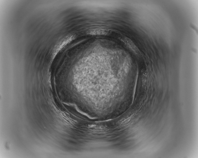 X0000096440727200802071747