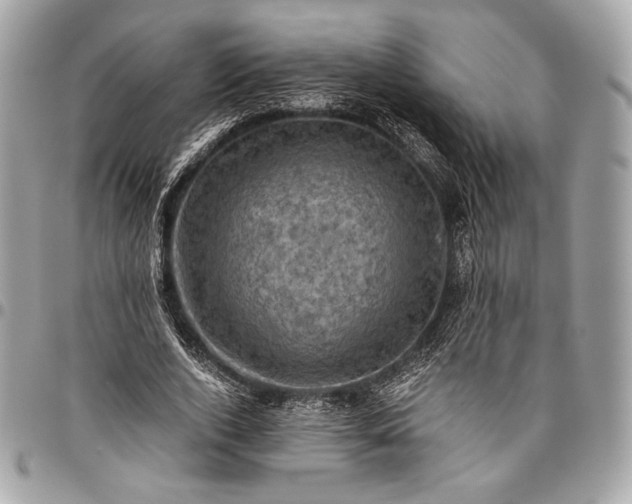 X0000096440728200802071747