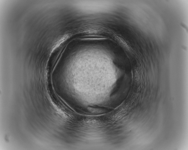 X0000096440730200802071747