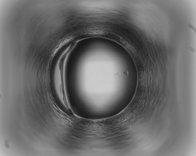 X0000096440731200802071747