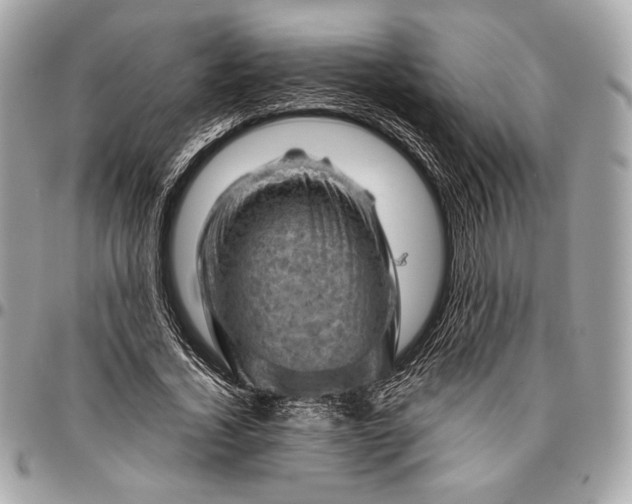 X0000096440732200802071747