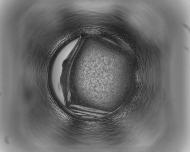 X0000096440733200802071747