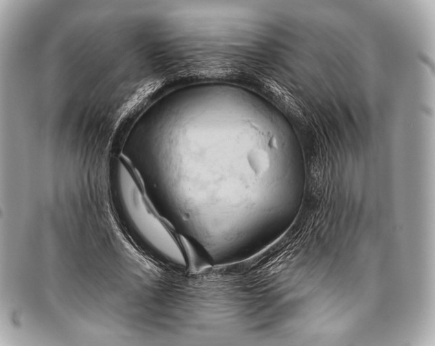 X0000096440734200802071747