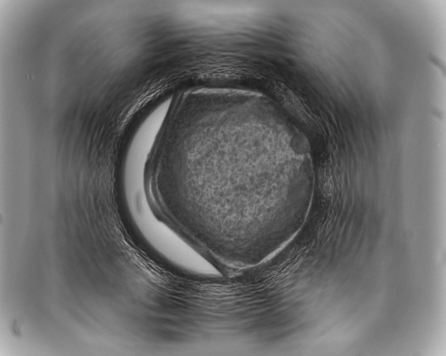 X0000096440735200802071747