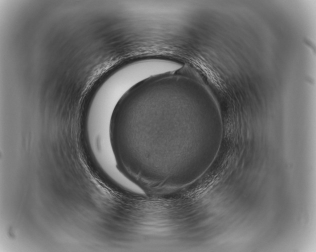 X0000096440736200802071748