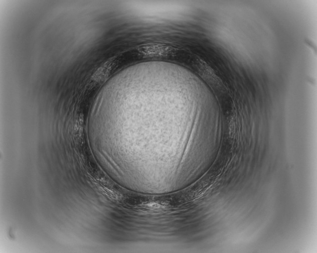 X0000096440737200802071748