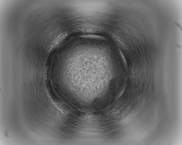 X0000096440738200802071748