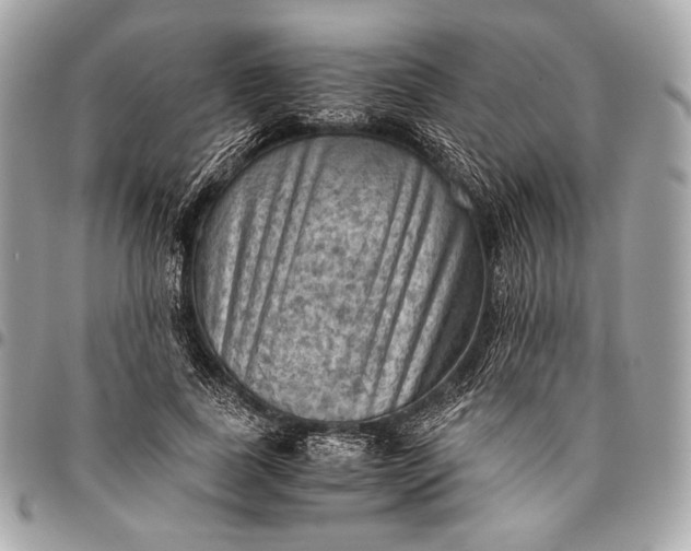 X0000096440739200802071748