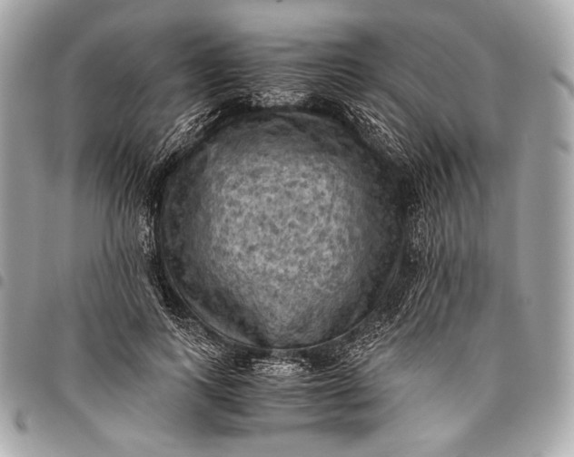 X0000096440743200802071748