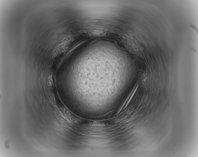 X0000096440746200802071748