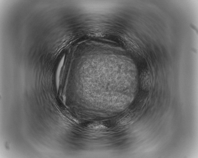 X0000096440747200802071748