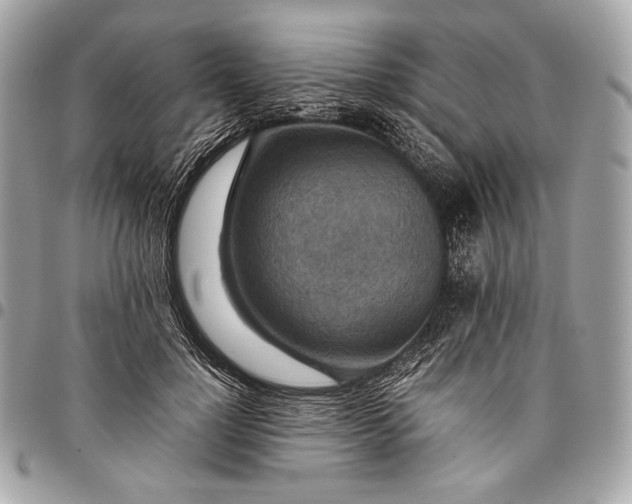 X0000096440748200802071748