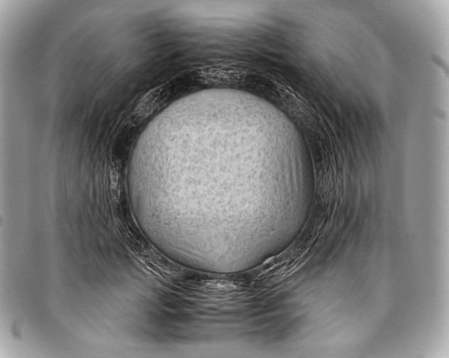 X0000096440749200802071748