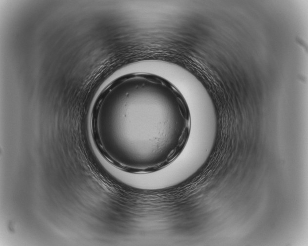 X0000096440750200802071748