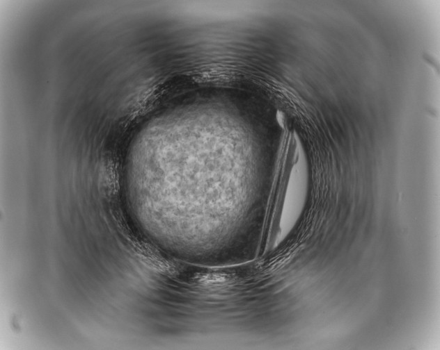 X0000096440751200802071748