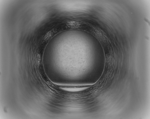 X0000096440752200802071748