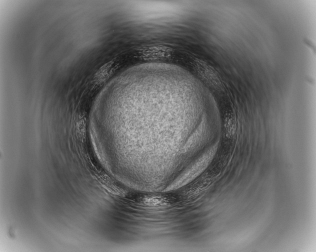 X0000096440753200802071748