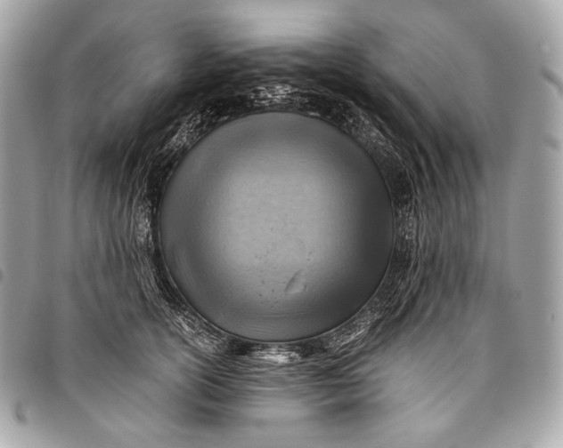 X0000096440754200802071748