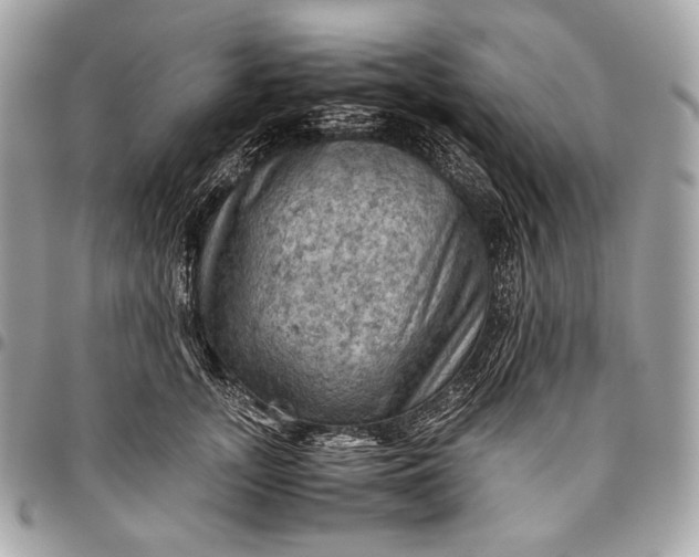 X0000096440755200802071748