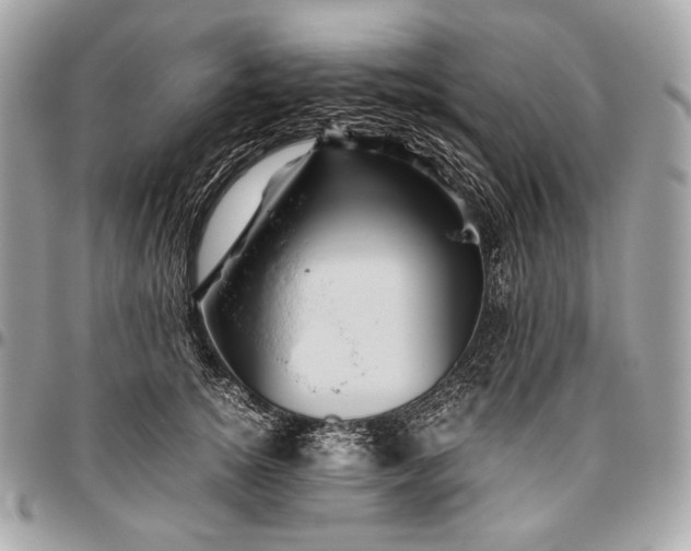 X0000096440756200802071748