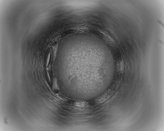 X0000096440757200802071748