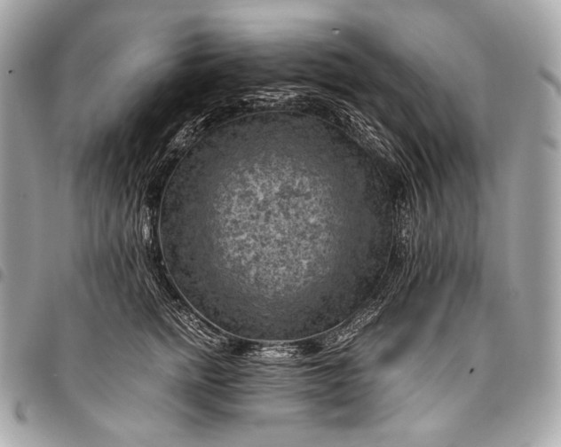 X0000096440758200802071748