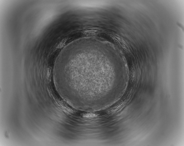 X0000096440759200802071748