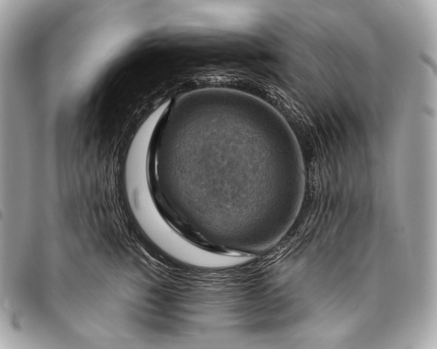 X0000096440760200802071748