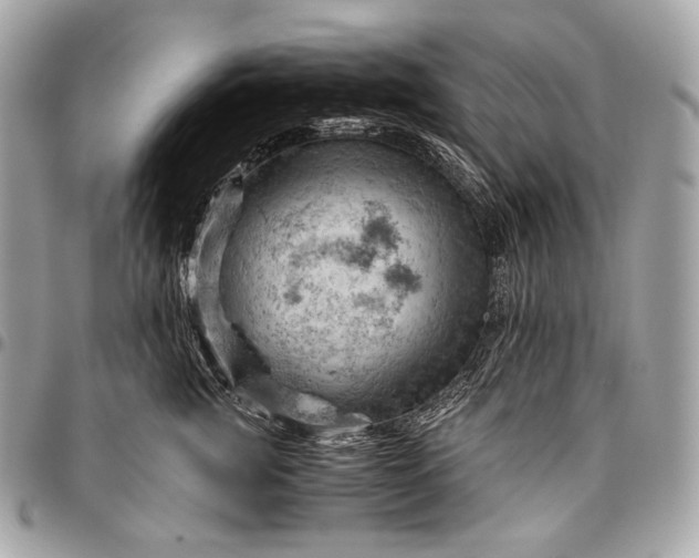 X0000096440761200802071748