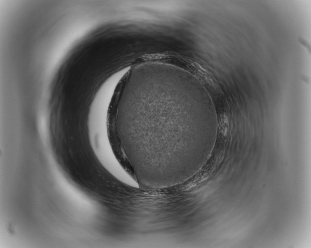 X0000096440763200802071748